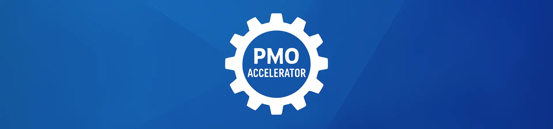 PMO Accelerator - Custom PMO in 90 days